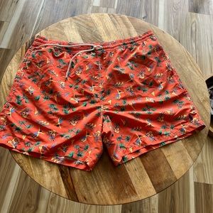 polo swim trunks